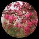 Rosalia S. - California home seller testimonial